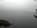 ./images/koeye/fitz-hugh/20180808/fitz-hugh20180808_073501.jpg