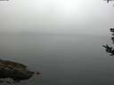 ./images/koeye/fitz-hugh/20180808/fitz-hugh20180808_074001.jpg