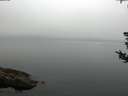 ./images/koeye/fitz-hugh/20180808/fitz-hugh20180808_074501.jpg