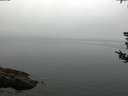 ./images/koeye/fitz-hugh/20180808/fitz-hugh20180808_075001.jpg