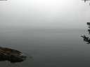 ./images/koeye/fitz-hugh/20180808/fitz-hugh20180808_080002.jpg