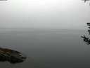 ./images/koeye/fitz-hugh/20180808/fitz-hugh20180808_080501.jpg