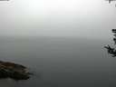 ./images/koeye/fitz-hugh/20180808/fitz-hugh20180808_081001.jpg