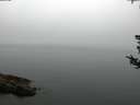 ./images/koeye/fitz-hugh/20180808/fitz-hugh20180808_081501.jpg