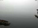 ./images/koeye/fitz-hugh/20180808/fitz-hugh20180808_082001.jpg