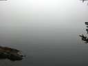 ./images/koeye/fitz-hugh/20180808/fitz-hugh20180808_082501.jpg