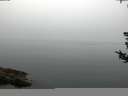 ./images/koeye/fitz-hugh/20180808/fitz-hugh20180808_083502.jpg