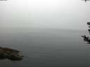 ./images/koeye/fitz-hugh/20180808/fitz-hugh20180808_084002.jpg