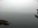 ./images/koeye/fitz-hugh/20180808/fitz-hugh20180808_084502.jpg