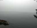 ./images/koeye/fitz-hugh/20180808/fitz-hugh20180808_085002.jpg