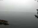 ./images/koeye/fitz-hugh/20180808/fitz-hugh20180808_085502.jpg