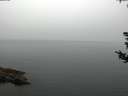 ./images/koeye/fitz-hugh/20180808/fitz-hugh20180808_090502.jpg