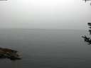 ./images/koeye/fitz-hugh/20180808/fitz-hugh20180808_091002.jpg