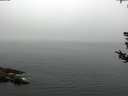 ./images/koeye/fitz-hugh/20180808/fitz-hugh20180808_092002.jpg