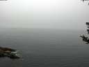 ./images/koeye/fitz-hugh/20180808/fitz-hugh20180808_092502.jpg