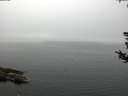 ./images/koeye/fitz-hugh/20180808/fitz-hugh20180808_093501.jpg