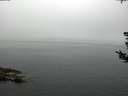./images/koeye/fitz-hugh/20180808/fitz-hugh20180808_095001.jpg