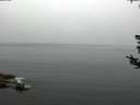 ./images/koeye/fitz-hugh/20180808/fitz-hugh20180808_100501.jpg