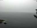 ./images/koeye/fitz-hugh/20180808/fitz-hugh20180808_102001.jpg