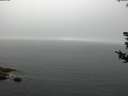 ./images/koeye/fitz-hugh/20180808/fitz-hugh20180808_102501.jpg