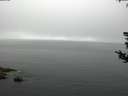 ./images/koeye/fitz-hugh/20180808/fitz-hugh20180808_103501.jpg