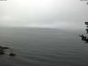./images/koeye/fitz-hugh/20180808/fitz-hugh20180808_104501.jpg
