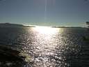 ./images/koeye/fitz-hugh/20180808/fitz-hugh20180808_171001.jpg