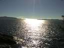 ./images/koeye/fitz-hugh/20180808/fitz-hugh20180808_171502.jpg