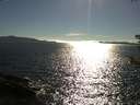 ./images/koeye/fitz-hugh/20180808/fitz-hugh20180808_174502.jpg