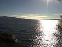 ./images/koeye/fitz-hugh/20180808/fitz-hugh20180808_182002.jpg