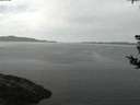 ./images/koeye/fitz-hugh/20180809/fitz-hugh20180809_052501.jpg