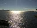 ./images/koeye/fitz-hugh/20180809/fitz-hugh20180809_165002.jpg