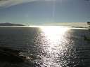 ./images/koeye/fitz-hugh/20180809/fitz-hugh20180809_173501.jpg