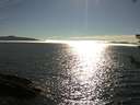 ./images/koeye/fitz-hugh/20180809/fitz-hugh20180809_174001.jpg