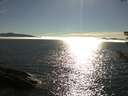 ./images/koeye/fitz-hugh/20180809/fitz-hugh20180809_174501.jpg