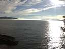 ./images/koeye/fitz-hugh/20180809/fitz-hugh20180809_184501.jpg