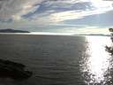 ./images/koeye/fitz-hugh/20180809/fitz-hugh20180809_185001.jpg