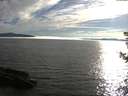 ./images/koeye/fitz-hugh/20180809/fitz-hugh20180809_185501.jpg