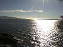./images/koeye/fitz-hugh/20180810/fitz-hugh20180810_180001.jpg