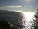 ./images/koeye/fitz-hugh/20180810/fitz-hugh20180810_181001.jpg