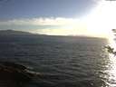 ./images/koeye/fitz-hugh/20180810/fitz-hugh20180810_193502.jpg