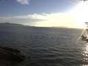 ./images/koeye/fitz-hugh/20180810/fitz-hugh20180810_195002.jpg
