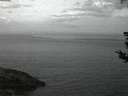 ./images/koeye/fitz-hugh/20180811/fitz-hugh20180811_052501.jpg