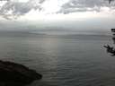 ./images/koeye/fitz-hugh/20180811/fitz-hugh20180811_060001.jpg
