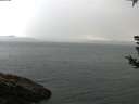 ./images/koeye/fitz-hugh/20180811/fitz-hugh20180811_084001.jpg