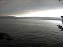 ./images/koeye/fitz-hugh/20180811/fitz-hugh20180811_155501.jpg