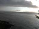 ./images/koeye/fitz-hugh/20180811/fitz-hugh20180811_195502.jpg