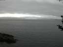 ./images/koeye/fitz-hugh/20180811/fitz-hugh20180811_213501.jpg