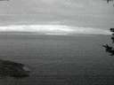 ./images/koeye/fitz-hugh/20180811/fitz-hugh20180811_214501.jpg