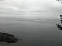 ./images/koeye/fitz-hugh/20180812/fitz-hugh20180812_053501.jpg
